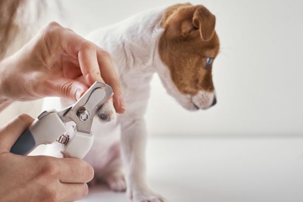 Nail Clipping